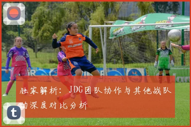 独家解析：JDG团队协作与其他战队的深度对比分析