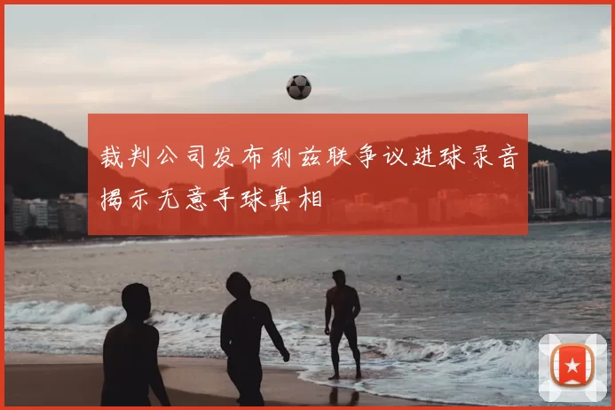 裁判公司发布利兹联争议进球录音揭示无意手球真相