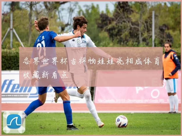 各界世界杯吉祥物娃娃亮相成体育收藏新看点