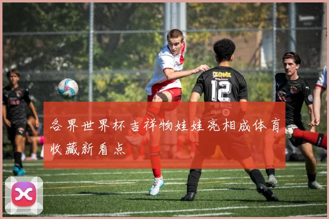 各界世界杯吉祥物娃娃亮相成体育收藏新看点