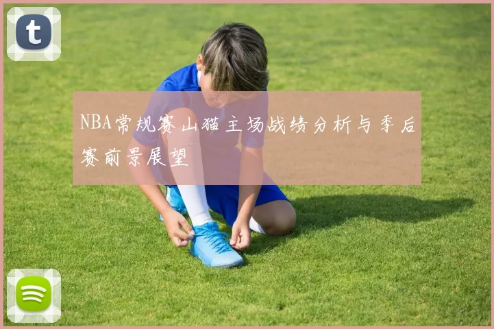 NBA常规赛山猫主场战绩分析与季后赛前景展望