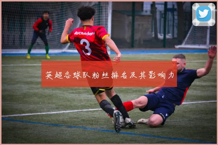 英超各球队粉丝排名及其影响力