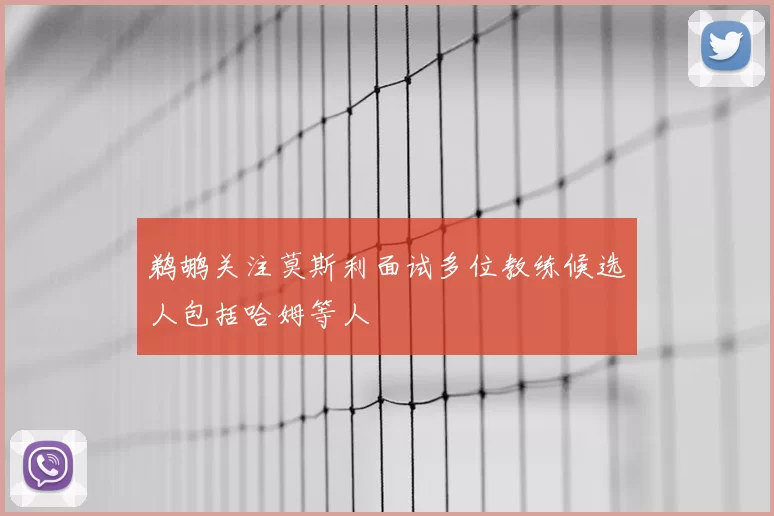 鹈鹕关注莫斯利面试多位教练候选人包括哈姆等人