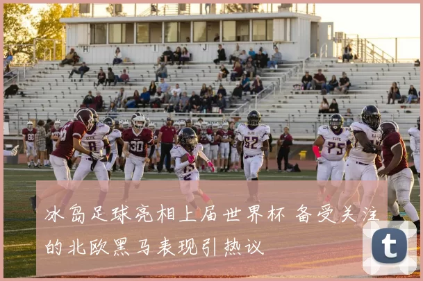冰岛足球亮相上届世界杯 备受关注的北欧黑马表现引热议