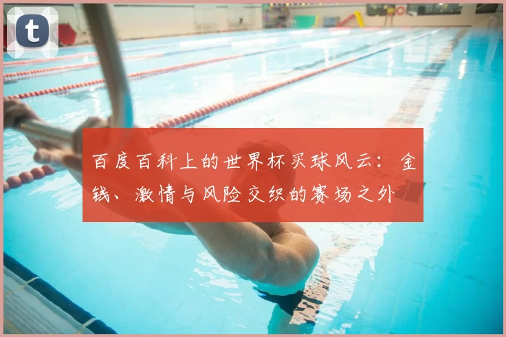 百度百科上的世界杯买球风云：金钱、激情与风险交织的赛场之外