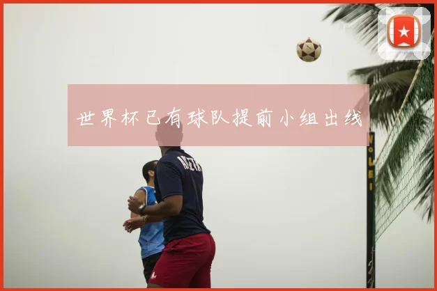 世界杯已有球队提前小组出线