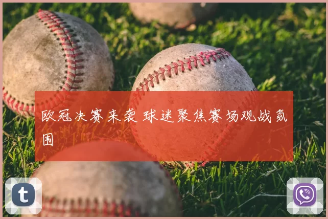 欧冠决赛来袭 球迷聚焦赛场观战氛围
