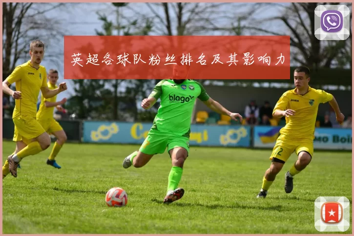英超各球队粉丝排名及其影响力